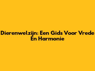 Dierenwelzijn: Een Gids Voor Vrede En Harmonie