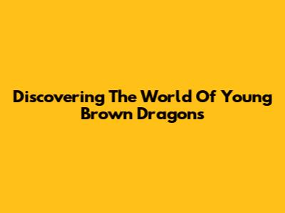 Discovering The World Of Young Brown Dragons
