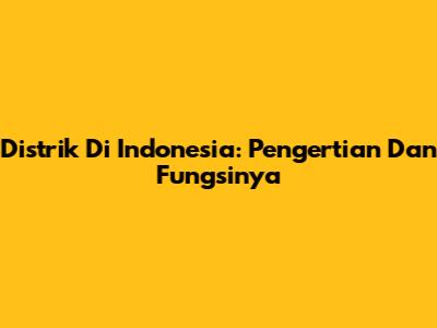 Distrik Di Indonesia: Pengertian Dan Fungsinya