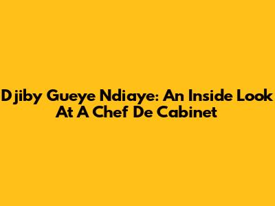 Djiby Gueye Ndiaye: An Inside Look At A Chef De Cabinet