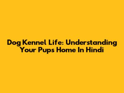 Dog Kennel Life: Understanding Your Pup's Home In Hindi
