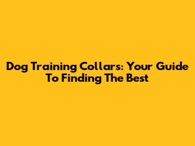 Dog Training Collars: Your Guide To Finding The Best