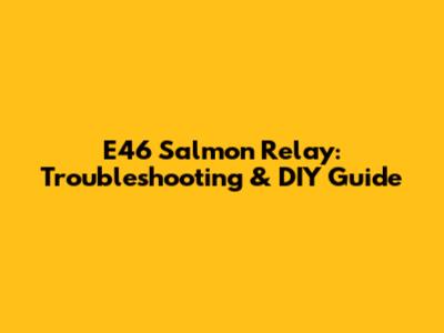 E46 Salmon Relay: Troubleshooting & DIY Guide