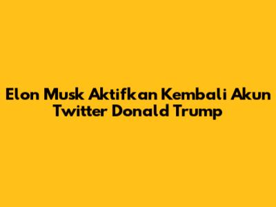 Elon Musk Aktifkan Kembali Akun Twitter Donald Trump