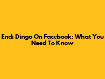 Endi Dingo On Facebook: What You Need To Know