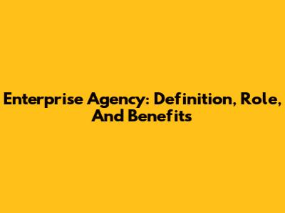 Enterprise Agency: Definition, Role, And Benefits