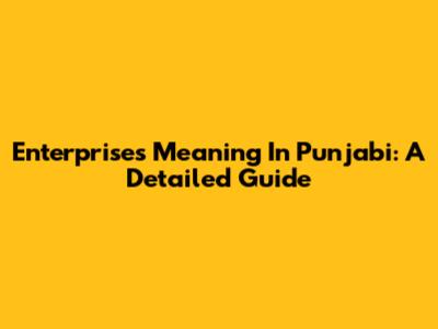 Enterprises Meaning In Punjabi: A Detailed Guide