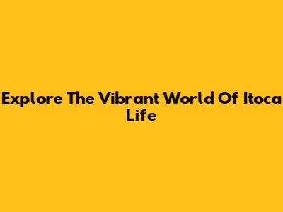 Explore The Vibrant World Of Itoca Life