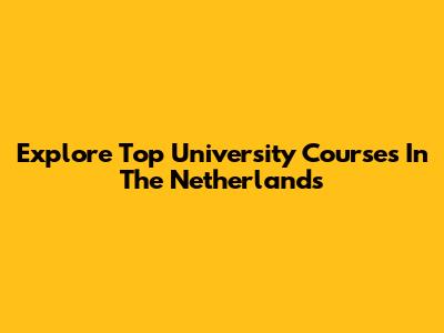 Explore Top University Courses In The Netherlands