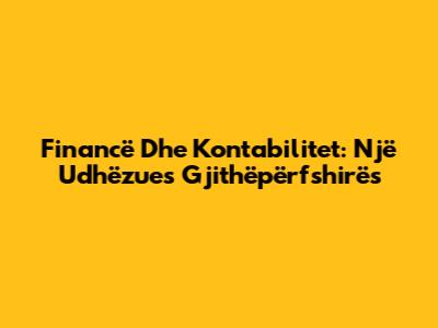 Financë Dhe Kontabilitet: Një Udhëzues Gjithëpërfshirës