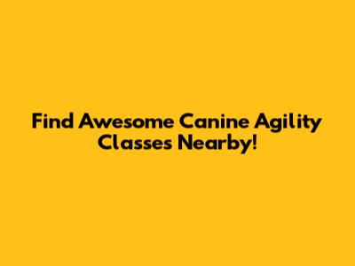 Find Awesome Canine Agility Classes Nearby!
