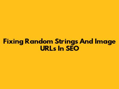 Fixing Random Strings And Image URLs In SEO