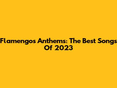 Flamengo's Anthems: The Best Songs Of 2023