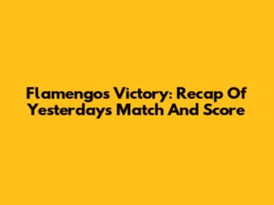 Flamengo's Victory: Recap Of Yesterday's Match And Score