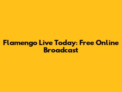 Flamengo Live Today: Free Online Broadcast
