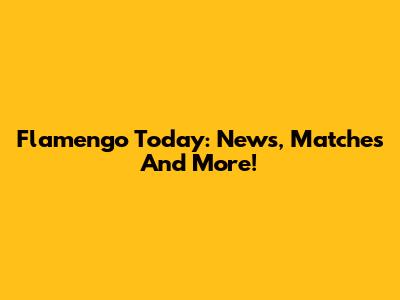 Flamengo Today: News, Matches And More!