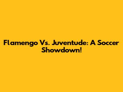 Flamengo Vs. Juventude: A Soccer Showdown!
