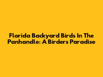 Florida Backyard Birds In The Panhandle: A Birder's Paradise