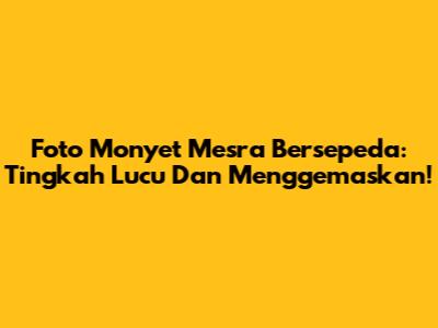 Foto Monyet Mesra Bersepeda: Tingkah Lucu Dan Menggemaskan!