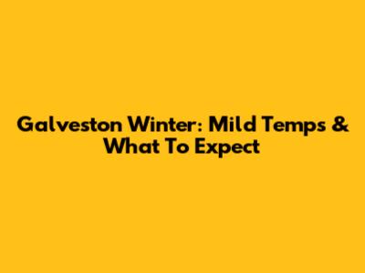 Galveston Winter: Mild Temps & What To Expect