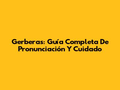 Gerberas: Guía Completa De Pronunciación Y Cuidado