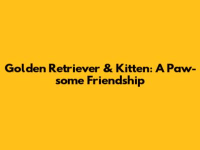 Golden Retriever & Kitten: A Paw-some Friendship