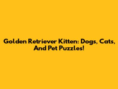 Golden Retriever Kitten: Dogs, Cats, And Pet Puzzles!