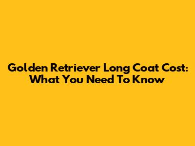 Golden Retriever Long Coat Cost: What You Need To Know