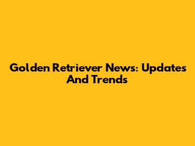 Golden Retriever News: Updates And Trends