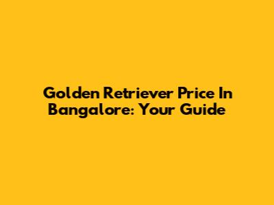 Golden Retriever Price In Bangalore: Your Guide