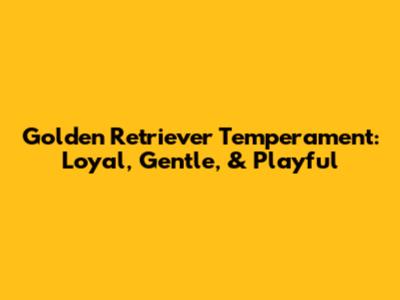 Golden Retriever Temperament: Loyal, Gentle, & Playful