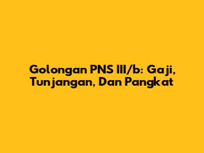 Golongan PNS III/b: Gaji, Tunjangan, Dan Pangkat
