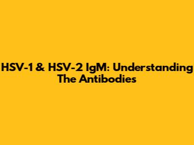 HSV-1 & HSV-2 IgM: Understanding The Antibodies