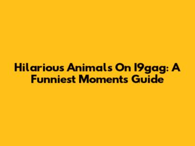 Hilarious Animals On I9gag: A Funniest Moments Guide