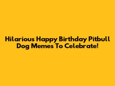 Hilarious Happy Birthday Pitbull Dog Memes To Celebrate!