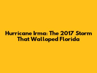 Hurricane Irma: The 2017 Storm That Walloped Florida