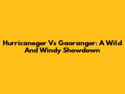 Hurricaneger Vs Gaoranger: A Wild And Windy Showdown