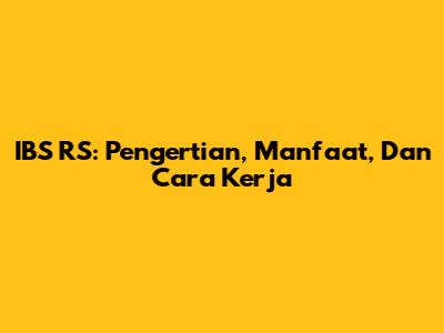 IBS RS: Pengertian, Manfaat, Dan Cara Kerja