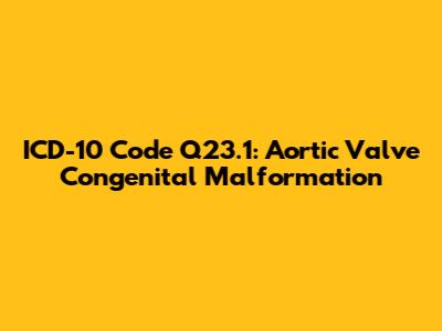 ICD-10 Code Q23.1: Aortic Valve Congenital Malformation