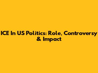 ICE In US Politics: Role, Controversy & Impact