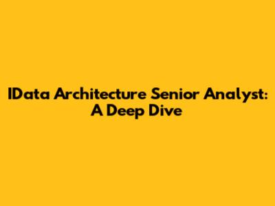 IData Architecture Senior Analyst: A Deep Dive