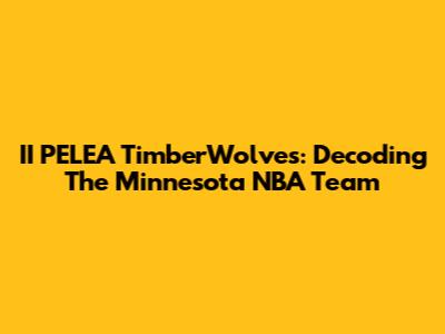 II PELEA TimberWolves: Decoding The Minnesota NBA Team