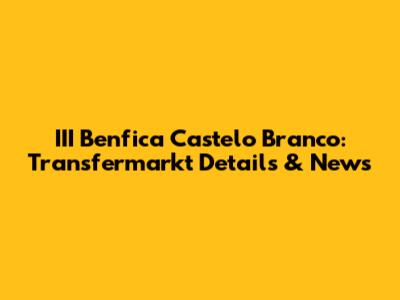 III Benfica Castelo Branco: Transfermarkt Details & News