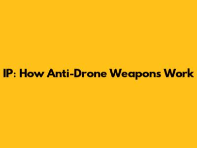 IP: How Anti-Drone Weapons Work