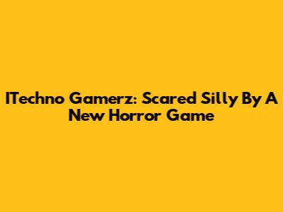 ITechno Gamerz: Scared Silly By A New Horror Game