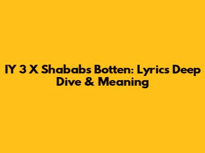IY 3 X Shababs Botten: Lyrics Deep Dive & Meaning