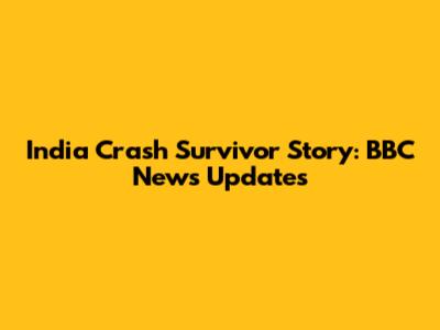 India Crash Survivor Story: BBC News Updates