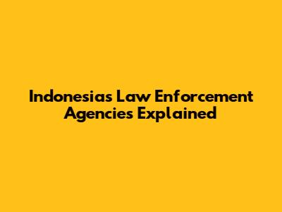 Indonesia's Law Enforcement Agencies Explained