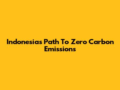 Indonesia's Path To Zero Carbon Emissions