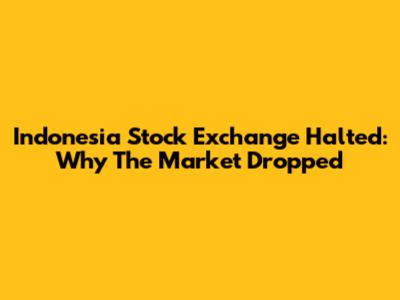 Indonesia Stock Exchange Halted: Why The Market Dropped